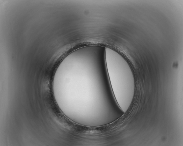 X0000090890212200707271045