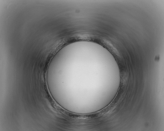 X0000090890213200707271045