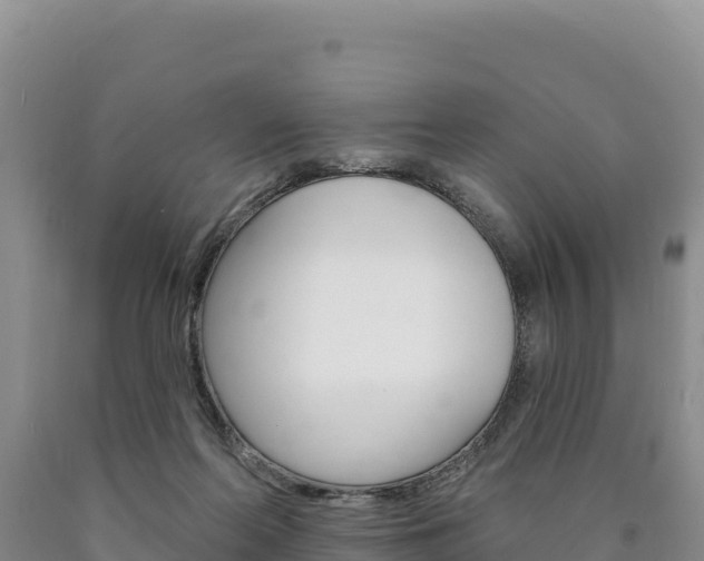 X0000090890214200707271045