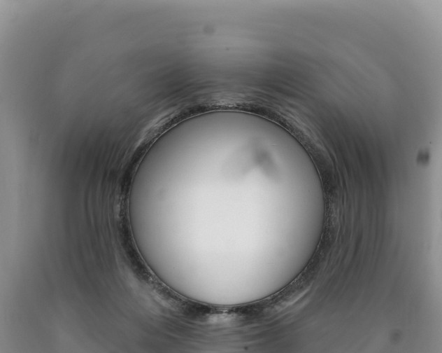 X0000090890216200707271045