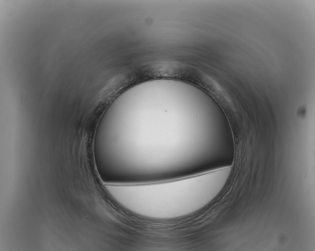 X0000090890217200707271045