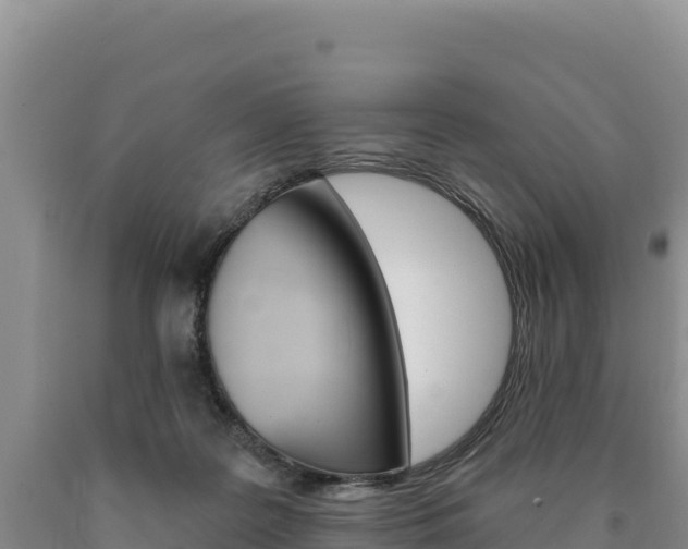 X0000090890219200707271045
