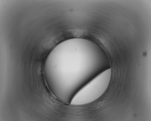 X0000090890221200707271045