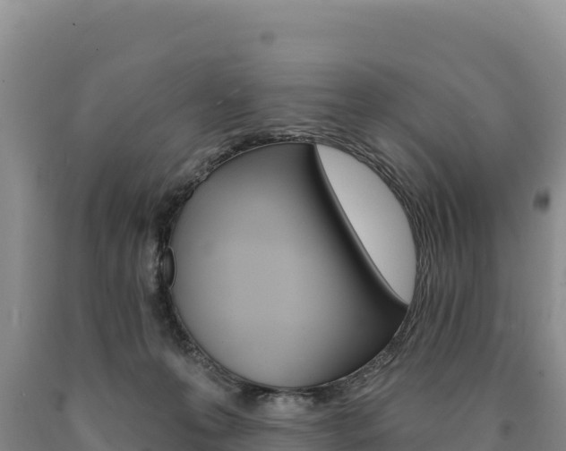 X0000090890223200707271045