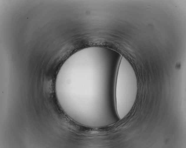 X0000090890224200707271045