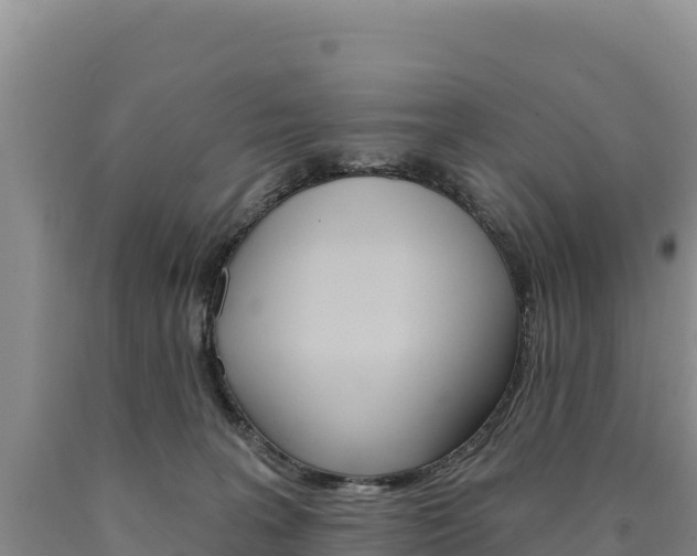X0000090890227200707271045