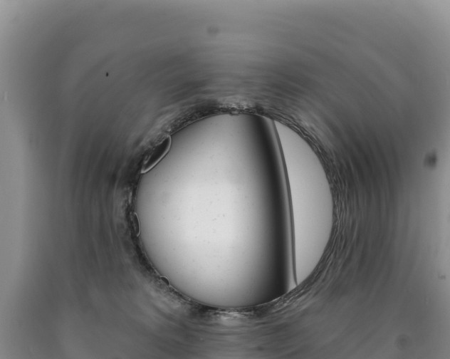 X0000090890229200707271045