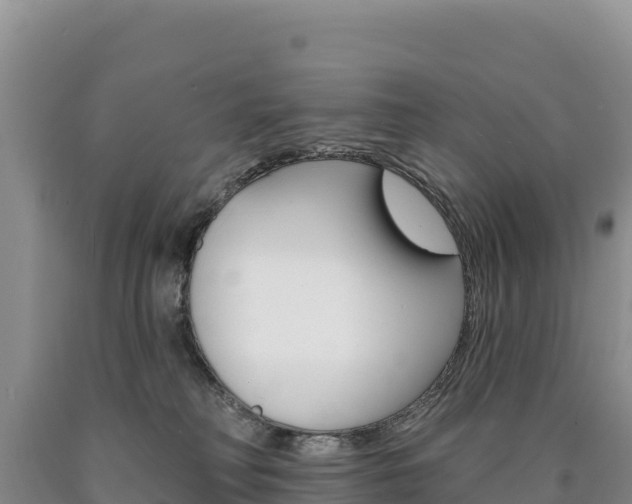X0000090890230200707271045