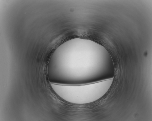 X0000090890233200707271045