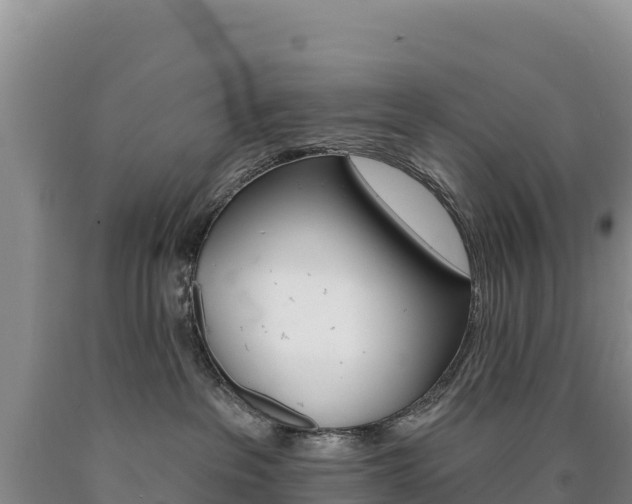 X0000090890237200707271045