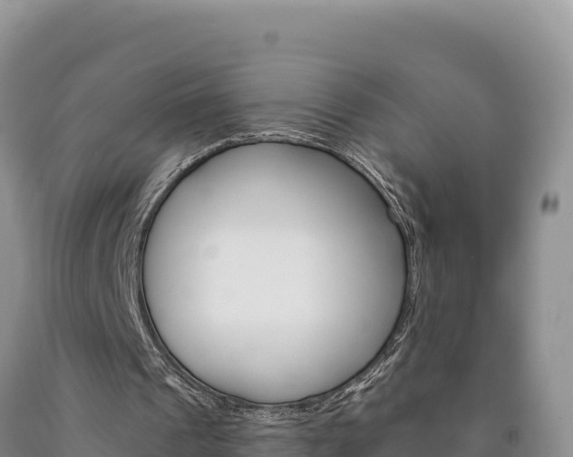 X0000090890241200707271044