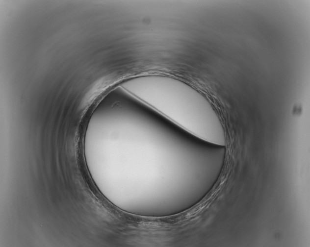 X0000090890242200707271044