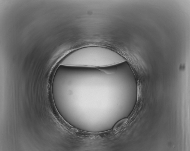 X0000090890243200707271044