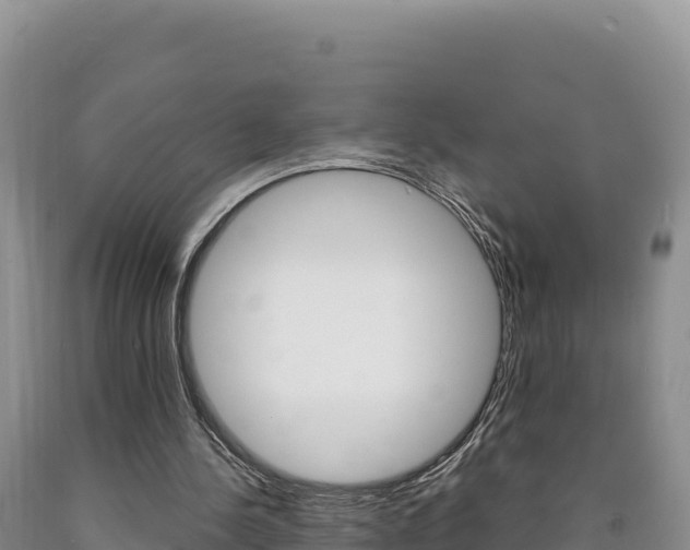 X0000090890244200707271044