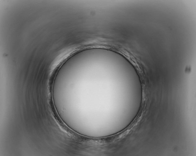 X0000090890245200707271044