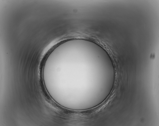 X0000090890246200707271044
