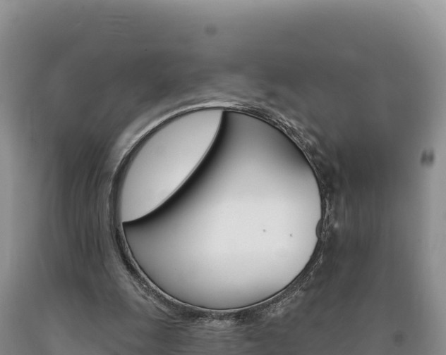 X0000090890247200707271044