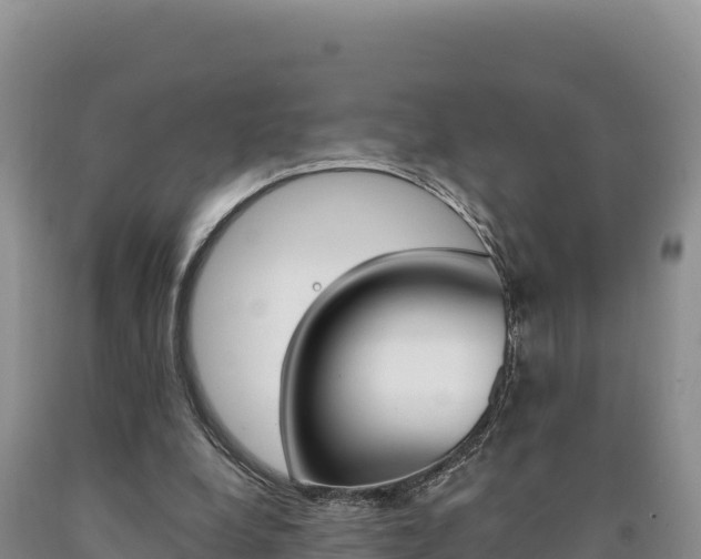 X0000090890248200707271044
