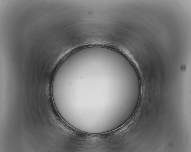 X0000090890249200707271044