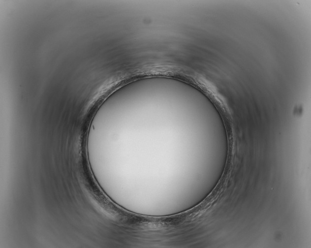 X0000090890250200707271044