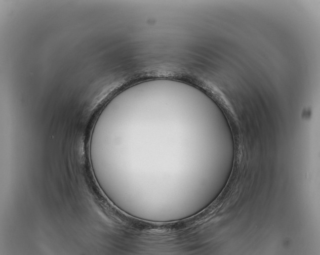 X0000090890251200707271044