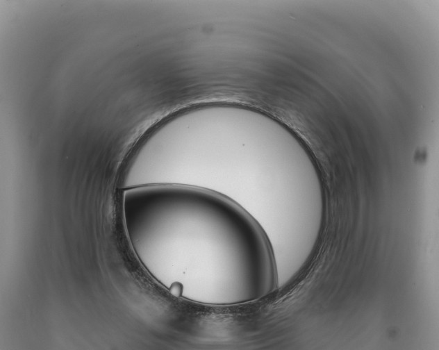 X0000090890252200707271044