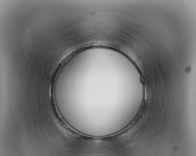 X0000090890253200707271044