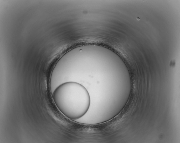 X0000090890254200707271044