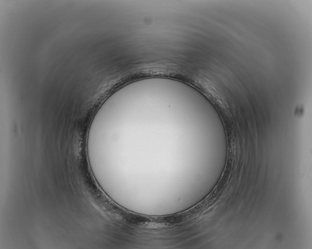 X0000090890255200707271044