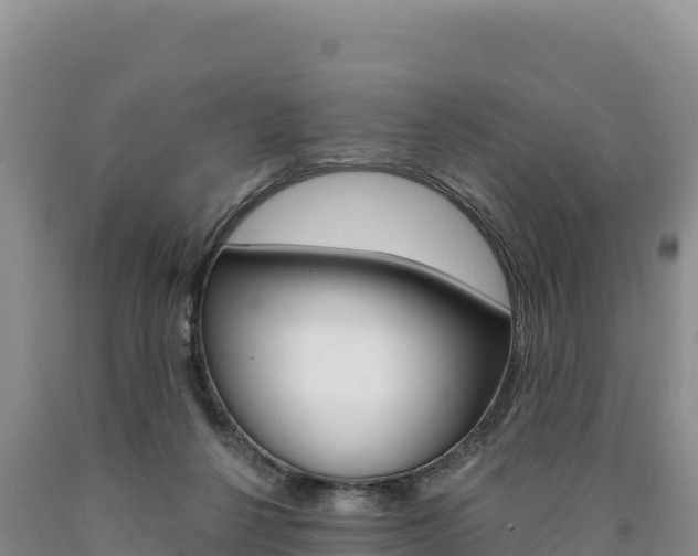 X0000090890264200707271045