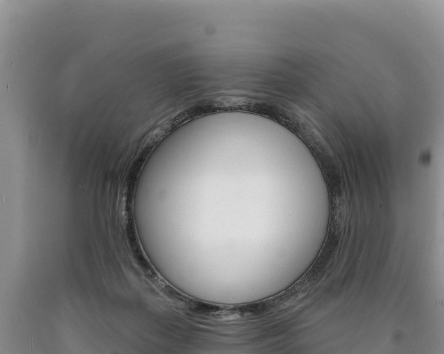 X0000090890267200707271045