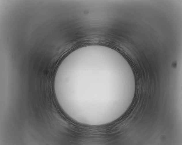 X0000090890268200707271045