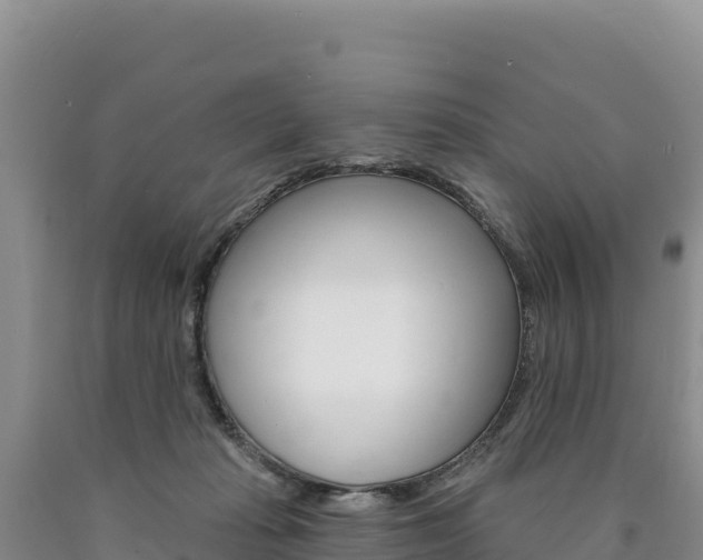 X0000090890269200707271045