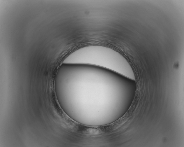 X0000090890272200707271045