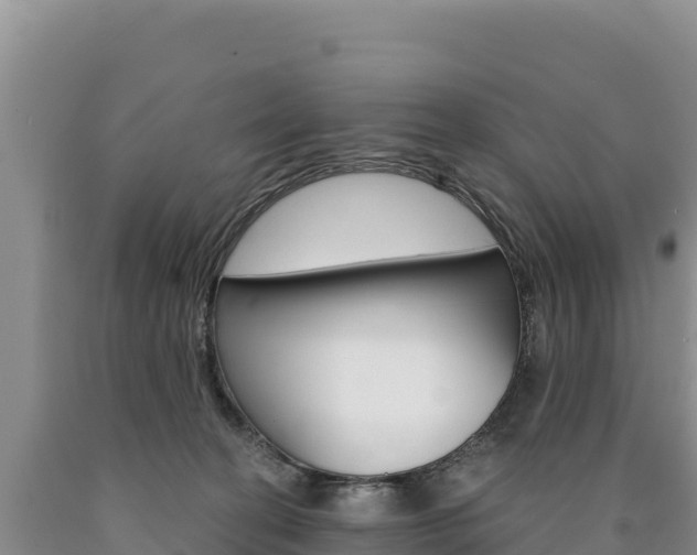 X0000090890274200707271045