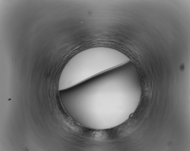 X0000090890275200707271045