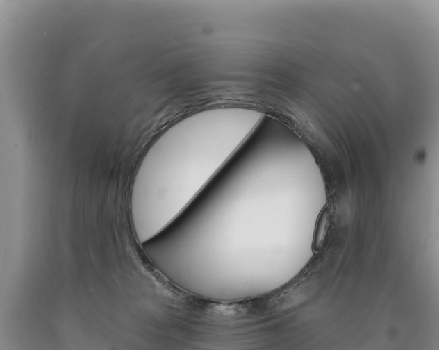 X0000090890277200707271045