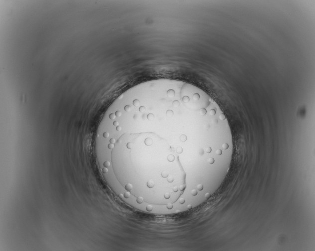 X0000090890278200707271045