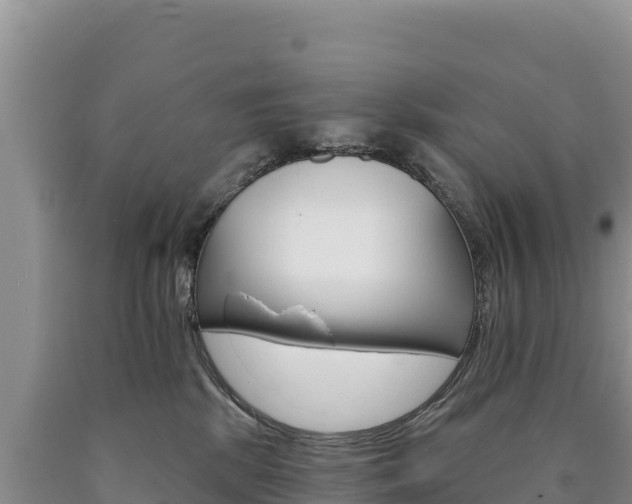 X0000090890281200707271045