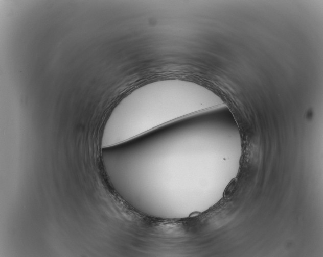 X0000090890283200707271045