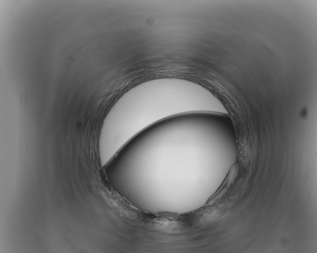 X0000090890284200707271045
