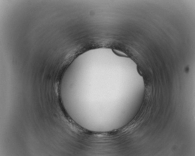 X0000090890286200707271045
