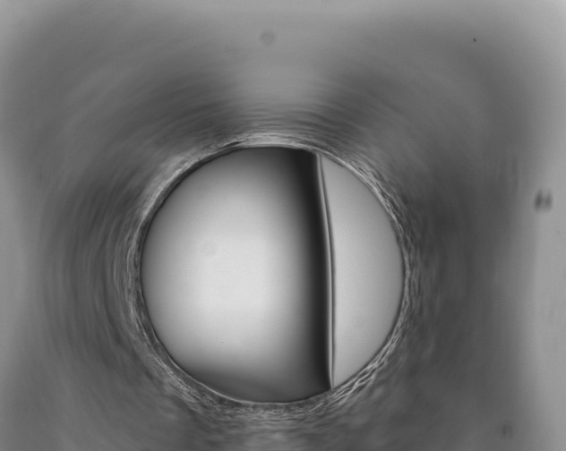 X0000090890289200707271044
