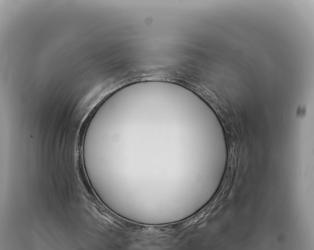 X0000090890290200707271044
