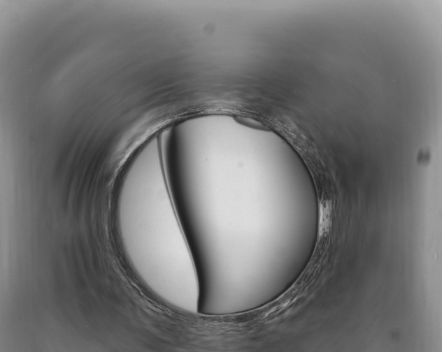 X0000090890291200707271044