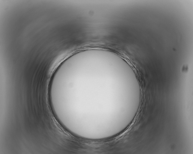 X0000090890293200707271044