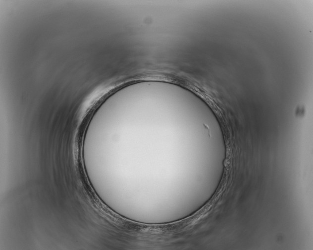 X0000090890294200707271044