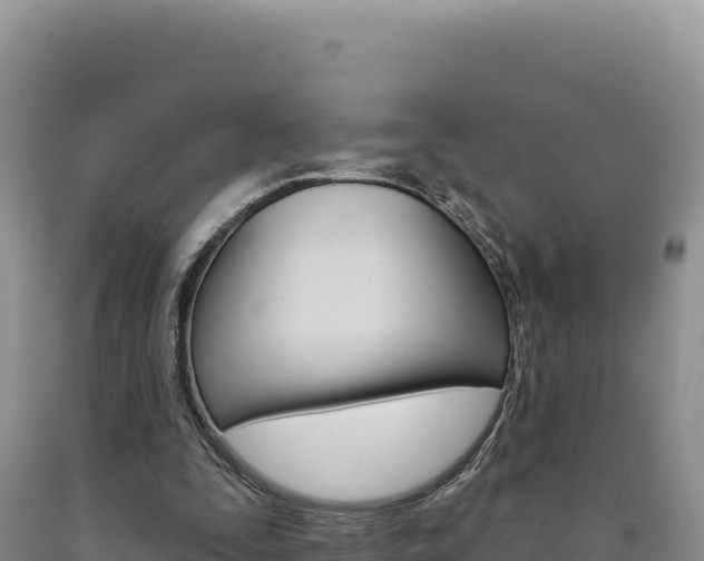 X0000090890295200707271044