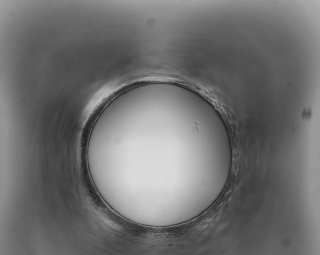 X0000090890296200707271044