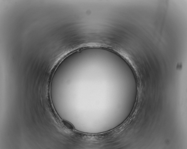 X0000090890297200707271044